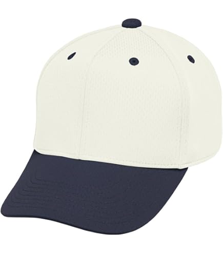 Amazon.co.jp: 大学野球 東京六大学 立教大学 野球部 tシャツ Lサイズ